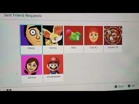 Nintendo switch friend code
