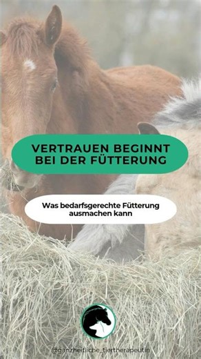 Bedarfsgerechte Fütterung