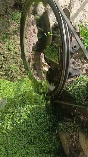 Grass Cutting with Toka Machine 🌿 | Razor Sharp Blade Fodder Cutting