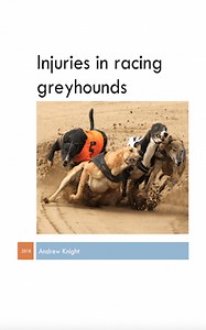 Injuries in Racing Greyhounds - andrewknight.info