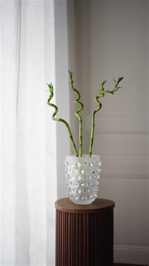 Magasins Monique Touzeau⚜️ on Instagram: "Icône de la modernité dans les arts décoratifs, le vase Mossi fascine par son effet kaléidoscope et sa rigueur graphique. Directement inspiré du modèle dessiné par René Lalique en 1933, ce vase incarne un dialogue parfait entre héritage et création contemporaine. Une pièce intemporelle pour sublimer un intérieur dès le début de l’année. 📍Magasin Monique Touzeau, Rue du Marché 28 à Genève. Extrêmement Touzeau ! Passionnément Touzeau ! #lalique #cristal #