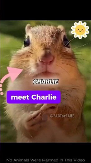Meet Charlie, The Most Dramatic Chipmunk Ever 🐿️ #shorts