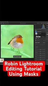 Lightroom Editing Tutorial Using Masks - Robin Photo #lightroom #editing #masks #tutorial #wildlife