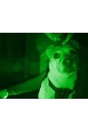 Watch Ghost Files Germany Season 1 Episode 3 - The Chapel of St. Anthony