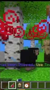 TIME STOP ADDON MOD MINECRAFT