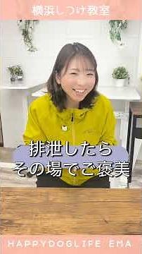 [Dog Toilet] 3 Tips to Increase Potty Success! Dog Training Emma Channel [Dog Training @ Yokohama...