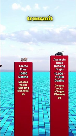 Most Dangerous Animals to Humans Ranked ⚠️ | Deadliest Creatures #Shorts