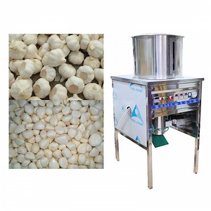 [Hot Item] Garlic Paste Making Machine Garlic Peeling Machine Used for Restaurant