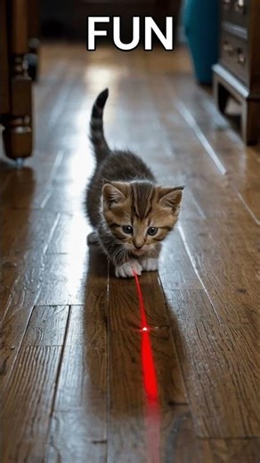 Epic Laser Chase: Kitten vs. Red Dot!