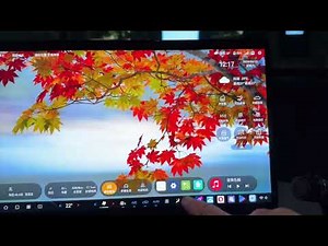 BYD 車機 Firmware 如何自行 Downgrade 及 Upgrade