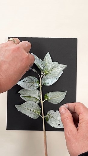 28K views · 325 reactions | I wasn’t sure how this Periwinkle would...