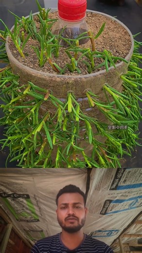 ফেলে দেওয়া প্লাস্টিকের বোতল দিয়ে তৈরি করুন চমৎকার ফুলের টাওয়ার! 🌸