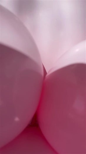 Barn Birthday Theme Backdrops for Rent