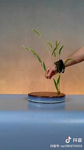 🪷Do you know how to design a Penjing (tray planting)？ 👇Check out this video for some inspiration~📸DouYin/wy13812731213 #planting #lotus #Chinese #culture #relax | iChongqing