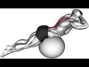 10 Stability Ball Exercises for a Total Body Workout