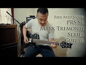 PRS SE Mark Tremonti Series Guitar