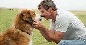 Ever loved a dog? This new trailer will have you in tears