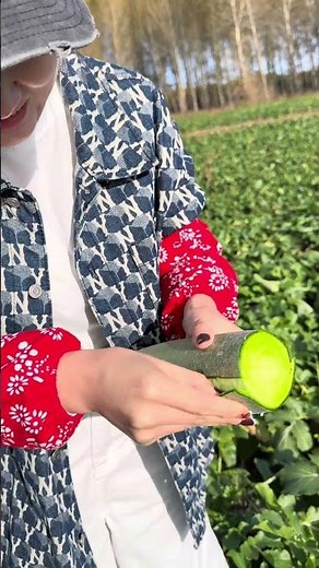 Fruit Radish #fruit #farming