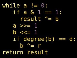 Modular Multiplication of Polynomials in Galois Fields