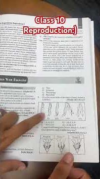 Class 10/ Reproduction
