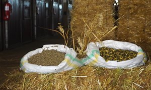 SOREC lance le programme 'ALF MORAKAB' pour les éleveurs des chevaux