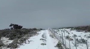 2.5K views · 37 reactions | Nevada primaveral en el Cordón Baquedano, en #TierraDelFuego #Magallanes #Chile. Registro de Carlos Soto | El Magallánico | Facebook