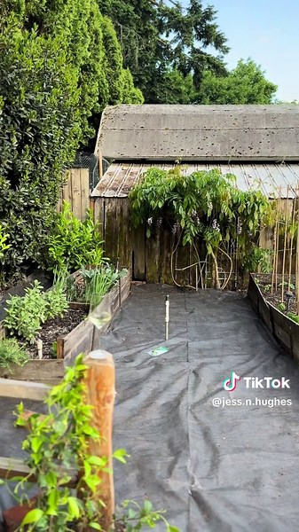 Preparing Your Garden for Decomposed Granite Installation