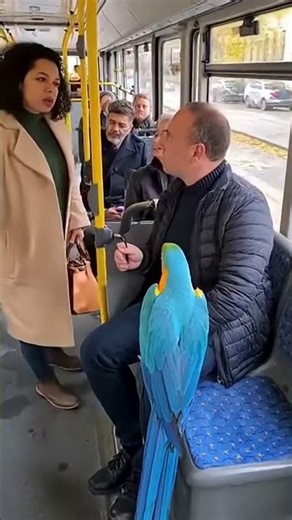 Ce perroquet dit exactement ce que personne n’ose dire