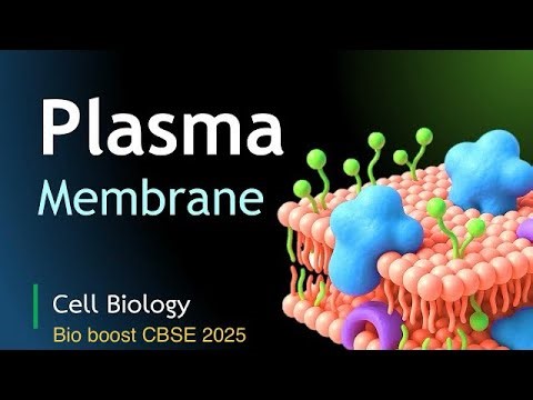 📘 Part 2 : Plasma Membrane | Cell Biology | Structure & Functions Explained