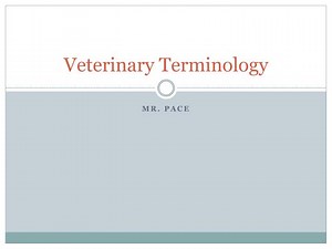 Veterinary Terminology - SlideServe