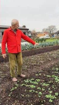 Planning plantings for the year