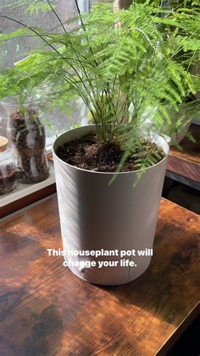 I can’t believe I am just now discovering @Drain Drawer Pots Inc. 🪴 No more hauling plants to the sink for a drink or finding the perfect size drip tray for pots. This simple yet extremely functional design makes it so much easier to keep your plants happy! When the drawer is pushed in, it allows the plant to soak up all of the water you just provided. When you pull it out, it drains the water into the tray. But my favorite feature is the bottom watering spout, where you pour the water in and a