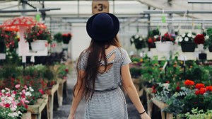 15 Jenis Bunga Cantik untuk Keindahan Halaman Rumah, Mudah Dirawat