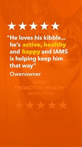 857K views · 18K reactions | This is your sign to get your kitty on IAMS Proactive Health Healthy Kitten kibble 﫡 #IAMS #PetNutrition #IAMSForLife #PetTips | IAMS | Facebook