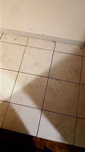 bouncing marbles on tile floor with an offset drop sound effect