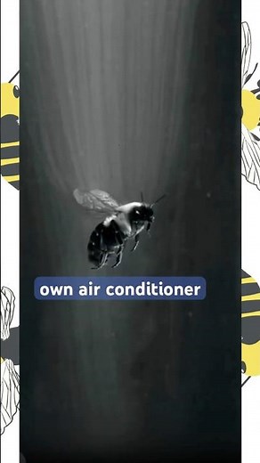 How Bees Stay Cool While flying? #bees #bumblebee #nature