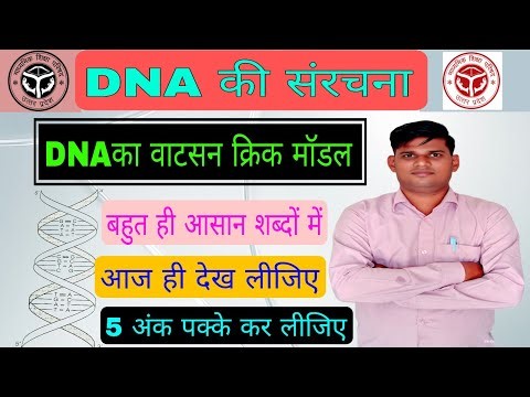 DNA ki sanrachna |DNA का वाटसन और क्रिक मॉडल | structure of DNA class 10 aur 12