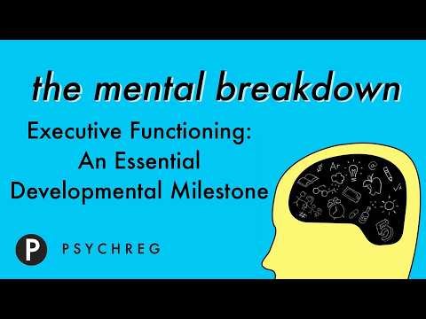 Executive Functioning: An Essential Developmental Milestone