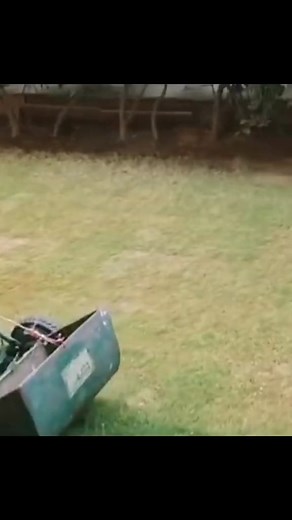 69K views · 217 reactions | Collection tray for manual lawn mower #simpleideas #goodjoob #manuallawnmower #lawnmower #tondeuseagazon #ingenious_tv #DIY #homemade | BHarry Ellison | Facebook