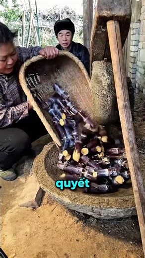 Bí Quyết Sống Thọ 100 Tuổi Của Người Trung Quốc 😱