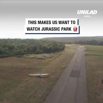 Is it a bird? is it a plane? No, it's a ten-foot robotic Pterodactyl flying through the sky!🐱‍🐉✈ | UNILAD Tech