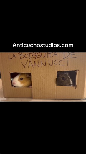 AnticuchoStudios.com - Memes y humor peruano sobre Left 4 Dead
