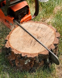 1.1M views · 663 reactions | Turning A Log Into A Table | DeMilked | Facebook