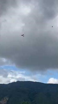 Vuelo Kadet Jr Mayo 2025