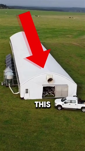 Moving Chicken Farm Explained This coop is built on wheels so chickens always get fresh grass and clean ground. #chickenfarm #mobilefarm #sustainablefarming #agriculture #innovation