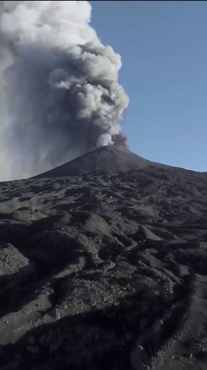 El fotógrafo Florian Ledoux ha capturado estas fascinantes imágenes de un oso polar nadando entre el hielo 🐻‍❄️ Estos grandes depredadores son los carnívoros terrestres más grandes que existen, además de uno de los pocos mamíferos de gran tamaño que han podido adaptarse bien a la vida en el hielo. En el agua el oso polar puede alcanzar velocidades de hasta 10 kilómetros por hora. Además, pueden recorrer largas distancias y nadar durante mucho tiempo. Sus grandes patas están especialmente adapta