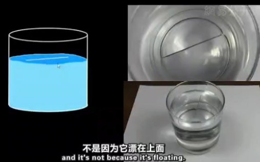 【搬运】表面张力Surface tension内聚力Cohesion粘附Adhesion毛细管作用Capillary action