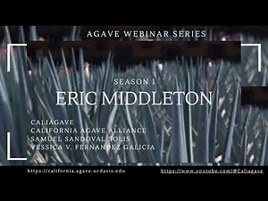 Understanding Agave Mites with Eric Middleton