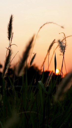 Ho ni hai... How wonderly knitted words... ✍️ #naturetiktok #naturetonic #lines #nepalilines #poetry
