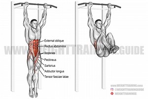 Hanging leg and hip raise exercise guide w/ video | Weight Training Guide